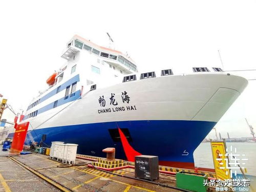 大连至烟台航线 畅龙海无船承运业务的破局之道